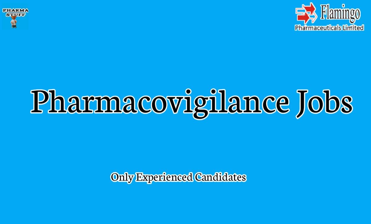 pharmacovigilance job openings for experienced candidates at flamingo pharmaceuticals